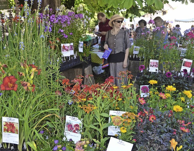 Bltenpracht erwartet die Besucher des Regio-Gartenzaubers in Weil.   | Foto: Gerigk