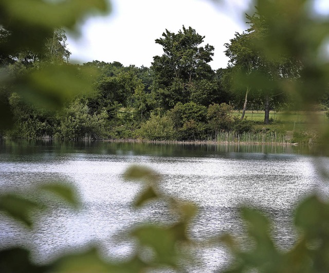 6,7 Hektar Naturidylle in Orschweier: der Hans-Joachim Knobloch-See | Foto: BETTINA SCHALLER 6,7 Hektar Naturidylle in Orschweier: der Hans-Joachim Knobloch-See | Foto: BETTINA SCHALLER