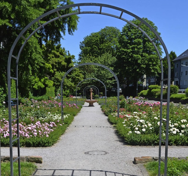 Dank des Ehrenamts  erblht der Rosengarten in neuer Pracht.   | Foto: rab