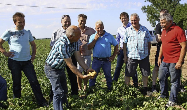 Fachleute  begutachten  die Qualitt der Frhkartoffeln.  | Foto: Franz