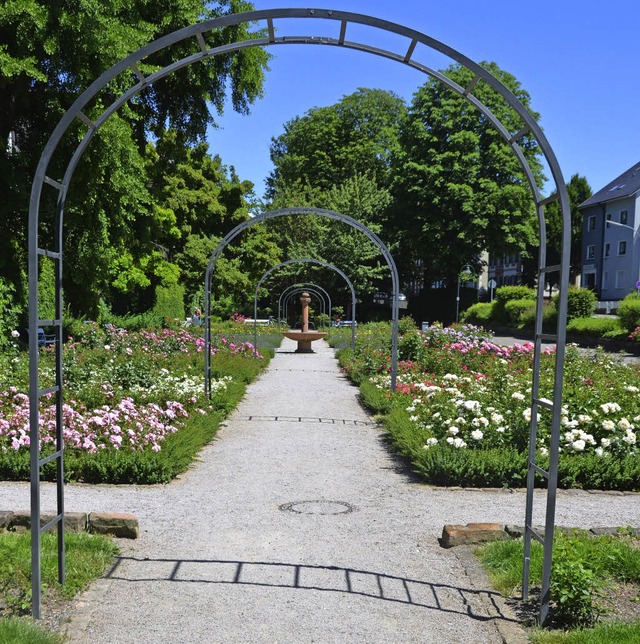 Am Sonntag wird im Rosengarten gefeiert.   | Foto: rab