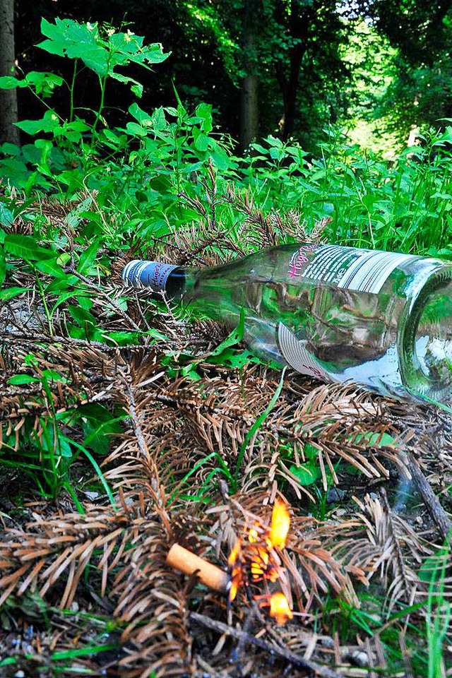 Bereits jetzt ist die Waldbrandgefahr im Landkreis Emmendingen hoch.  | Foto: Thomas Kunz