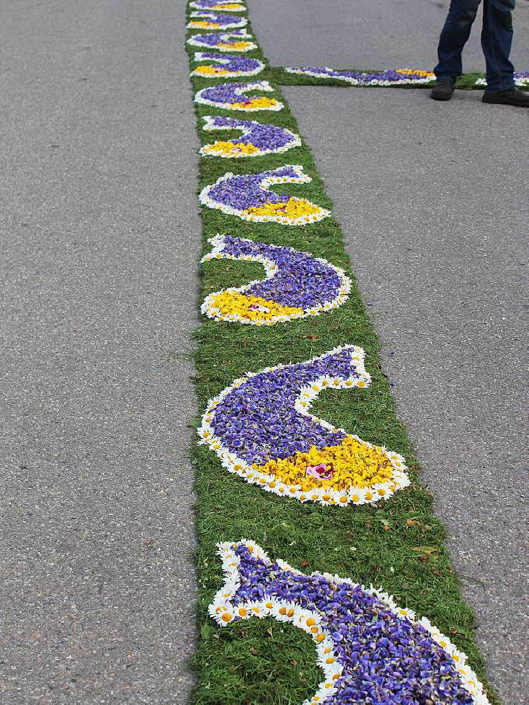Unadinger Fest: Anlieger des Prozessionswegs und viele freiwillige Helfer waren gestern schon frh auf den Beinen und Knien, um den ber 750 Meter langen Blumenteppich zu legen.