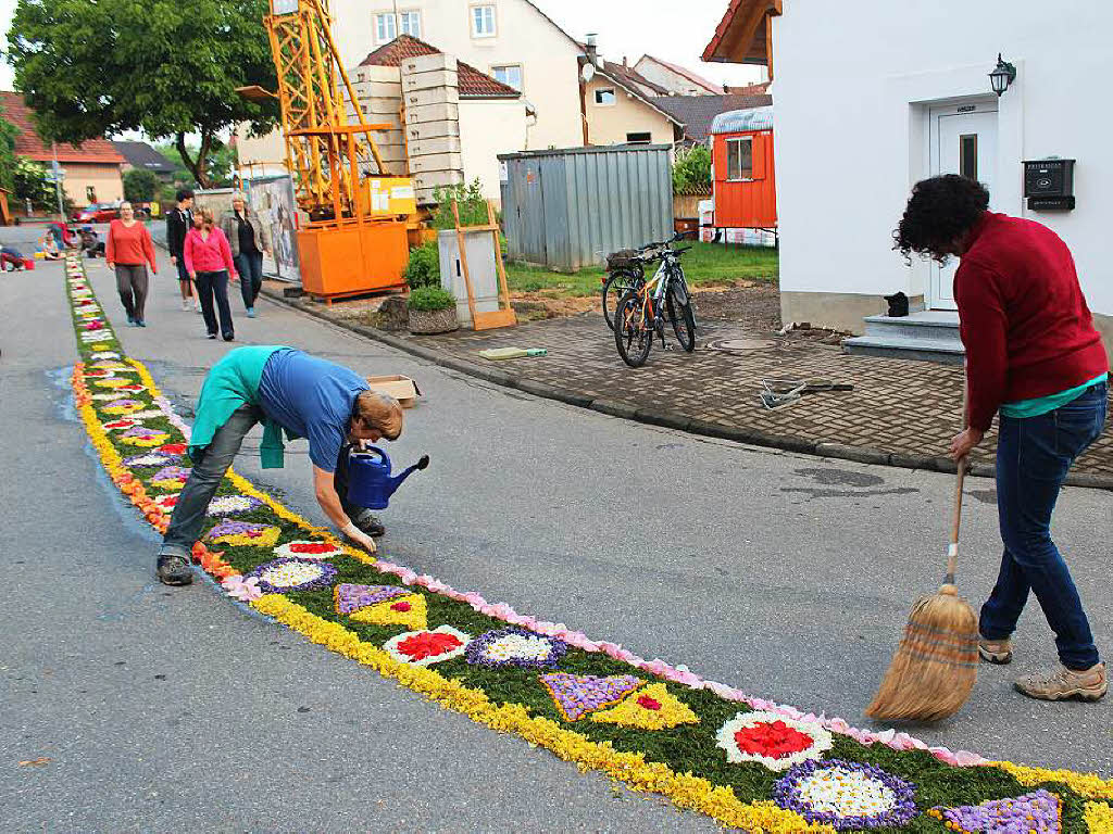 Unadinger Fest: Anlieger des Prozessionswegs und viele freiwillige Helfer waren gestern schon frh auf den Beinen und Knien, um den ber 750 Meter langen Blumenteppich zu legen.