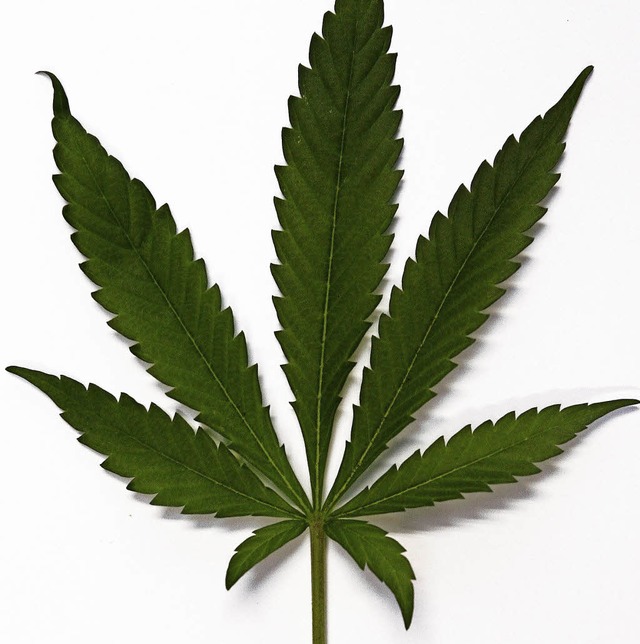 Cannabis-Blatt   | Foto: dpa
