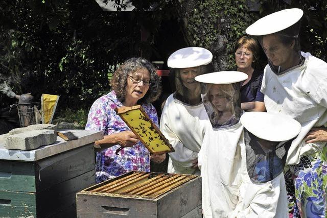 Bienensonntag auf dem Mundenhof fasziniert die Besucher