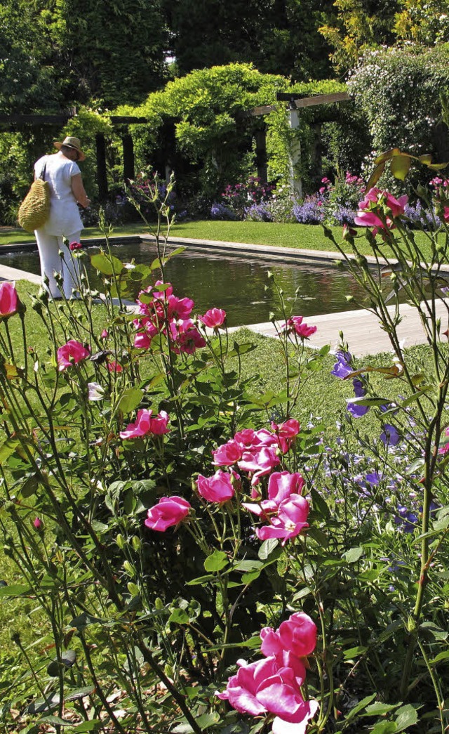 Nicht nur Rosen standen zum Rosenfest ...hnen Garten mit vielen  Sommerblumen.  | Foto: Jutta Schtz