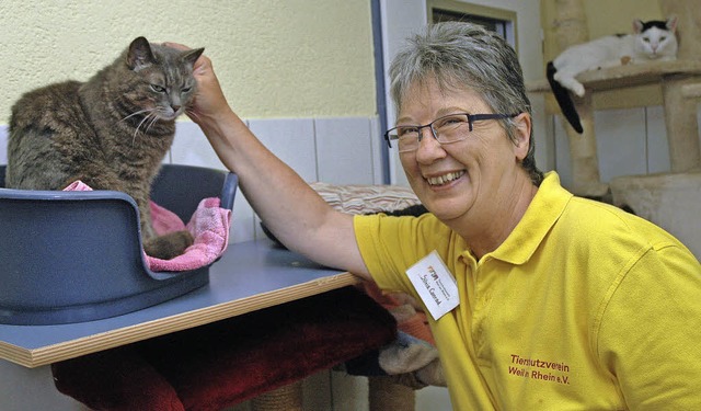 Silvia Conrad  kmmert sich ehrenamtlich um herrenlose und aufgefundene Katzen.   | Foto: OUNAS