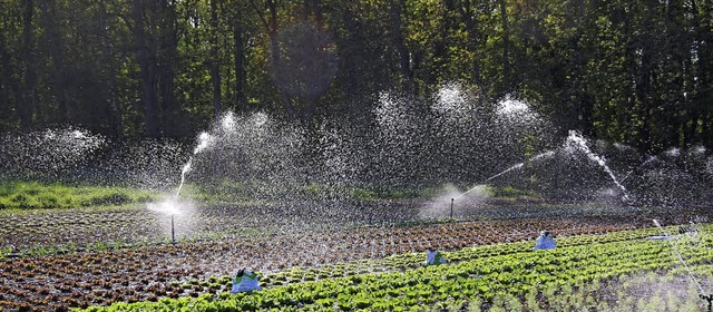 Immer grer wird der Anteil an Wasser...fr die Landwirtschaft bentigt wird.   | Foto: LAUBER