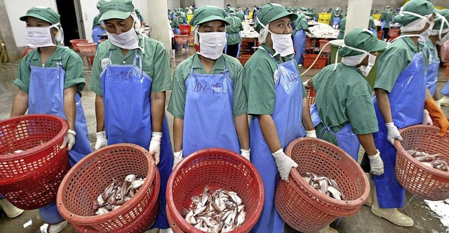 Arbeiter in einer thailndischen Fischfabrik  | Foto: dpa