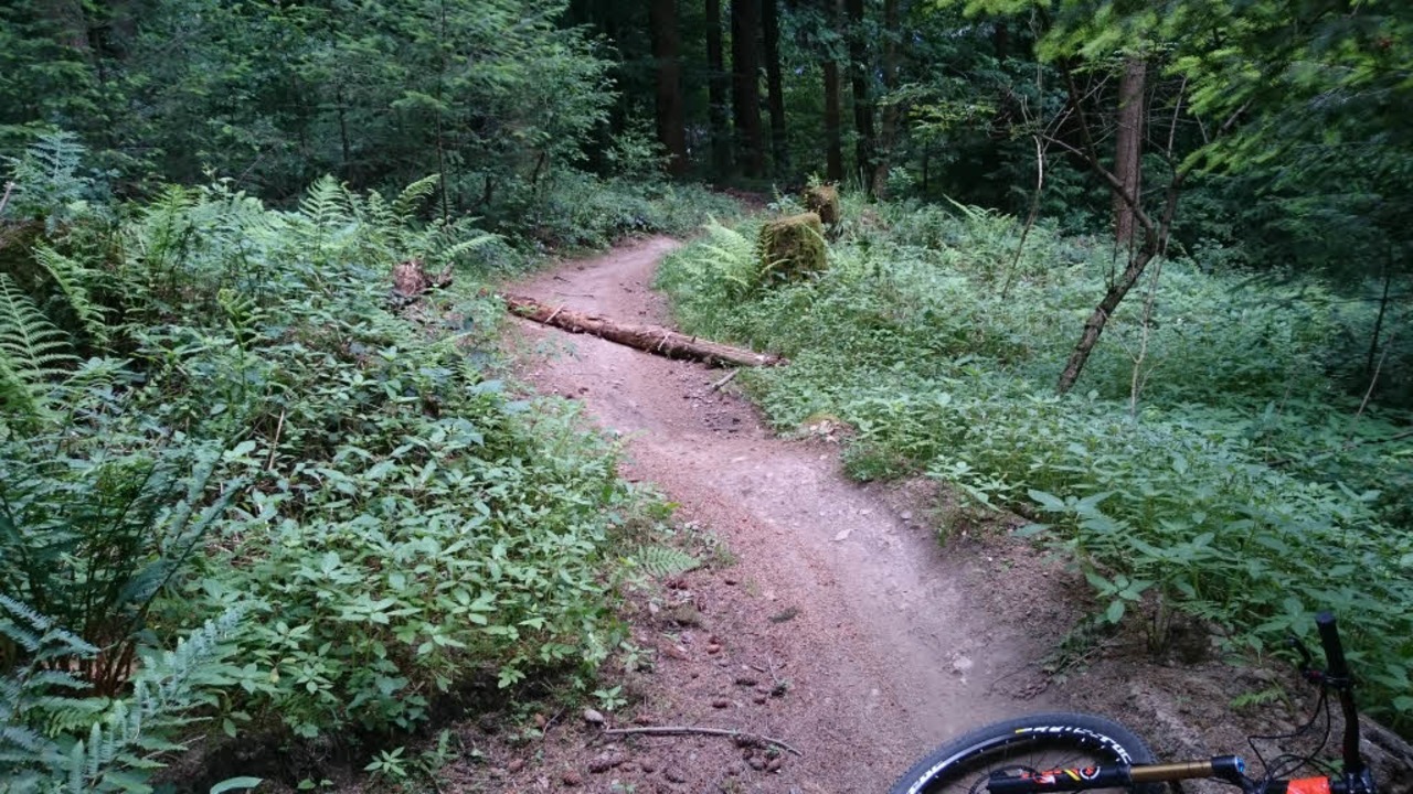 Unbekannte Täter haben die Borderline-...ährliche Fallen für die Mountainbiker.  | Foto: stefan seibert
