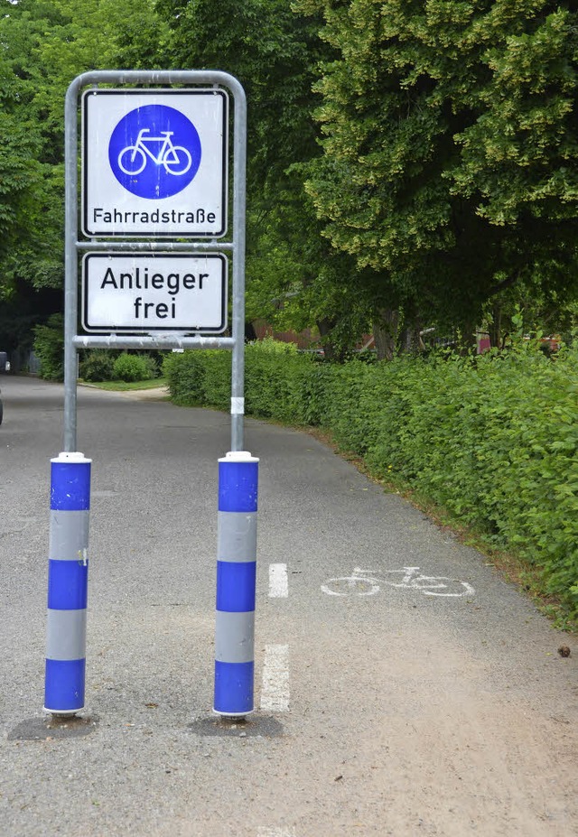 Lrrachs einzige Fahrradstrae in der Stettengasse entlang des Rosenfelsparks   | Foto: Nikolaus Trenz