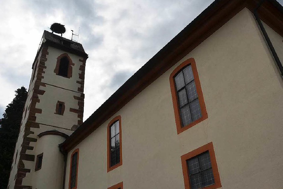 Auf dem Turm der evangelischen Kirche in Gundelfingen wurden die Jungstörche beringt. Die Beringung übernahm Gustav Bickel unterstützt durch Dieter Engelbrecht. (Foto: Max Schuler) Auf dem Turm der evangelischen Kirche in Gundelfingen wurden die Jungstörche beringt. Die Beringung übernahm Gustav Bickel unterstützt durch Dieter Engelbrecht. (Foto: Max Schuler)