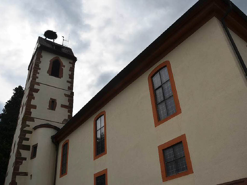 Auf dem Turm der evangelischen Kirche in  Gundelfingen wurden die Jungstrche beringt. Die Beringung bernahm Gustav Bickel untersttzt durch Dieter Engelbrecht.