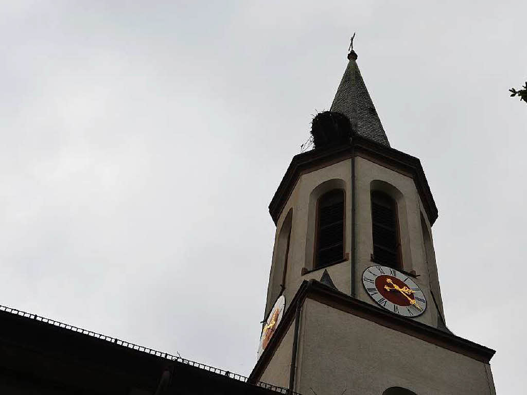 Martin Kury beringt den Storch in dem Nest auf der evangelischen Kirche in Vrstetten.