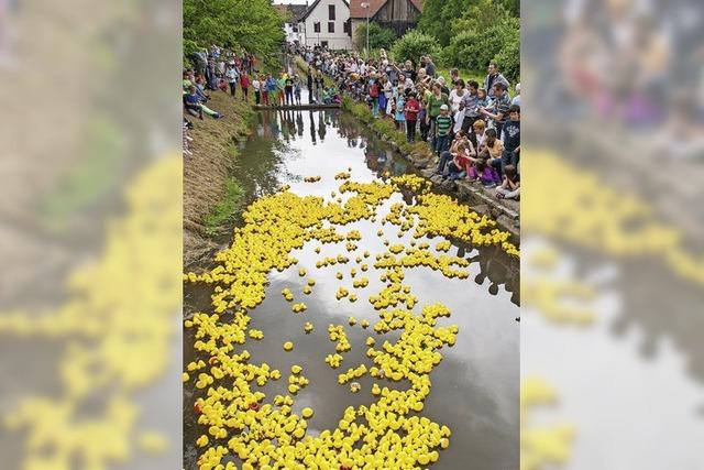 Tausende strzen sich in den Kanal