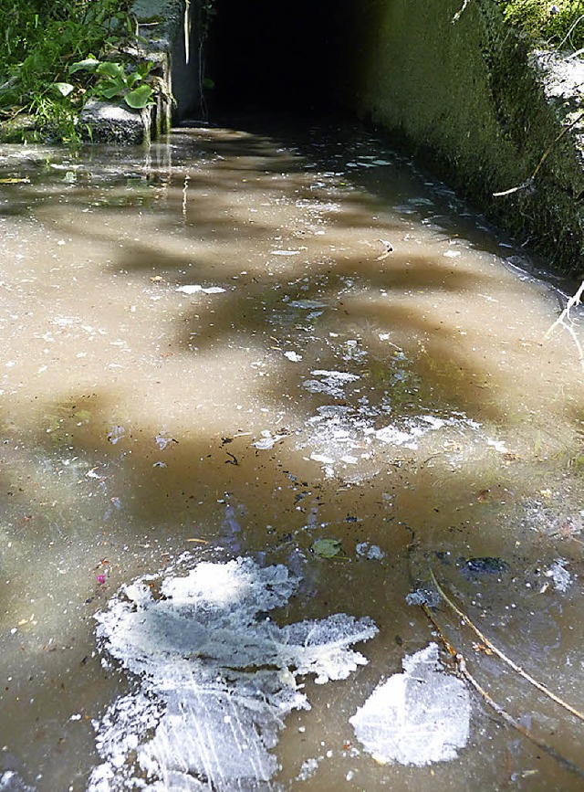 Gestern flossen Reste der Dispersionsf... Regenwasserkanal  in den Fluss Wiese.  | Foto: sattelberger