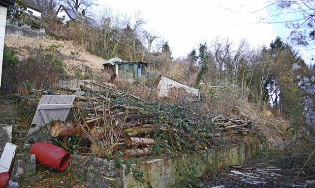 Auf diesem Hanggrundstck &#8222;Am Li...llen drei Doppelhuser gebaut werden.   | Foto: Thomas Loisl Mink