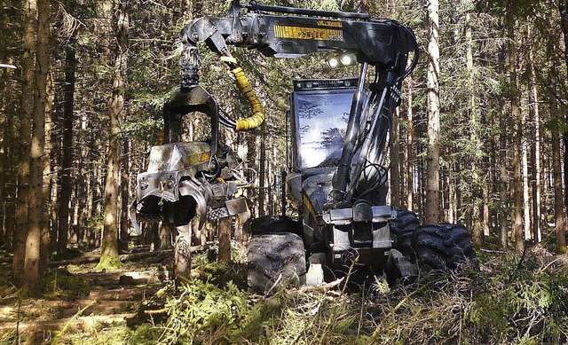 Ein Drittel der Holzernte im Lffinger Wald bernehmen  Vollernter.   | Foto: Karl Meister