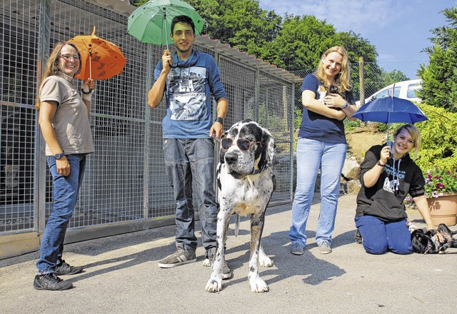 Das Tierheim-Team mit Dogge Darky, den...d Sinclair und  Mischlingshndin Lina   | Foto: Isabelle Arndt