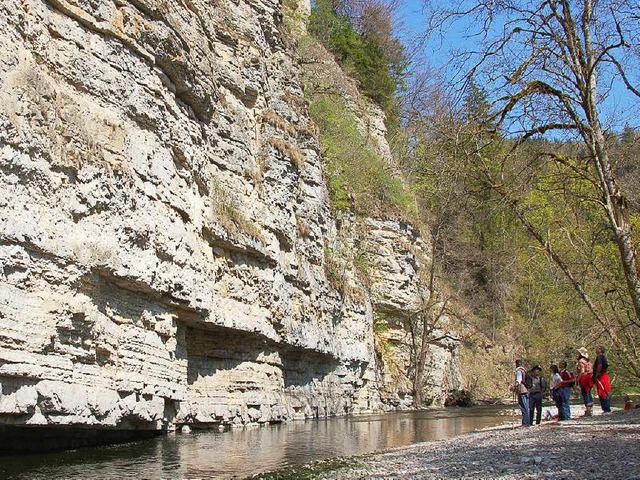 Die Wutach und ihre Nebenflsse bilden...er &#8211; Unflle bleiben nicht aus.   | Foto: Khnemund