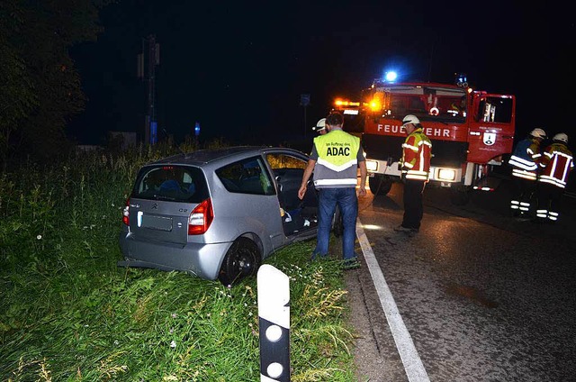 Die Fahrerin wollte einem Fuchs ausweichen und landete in einer Bschung.  | Foto: kamera24