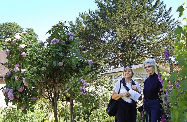 Der Schrgarten wurde einmal mehr viel bewundert.  | Foto: Jutta Binner-Schwarz