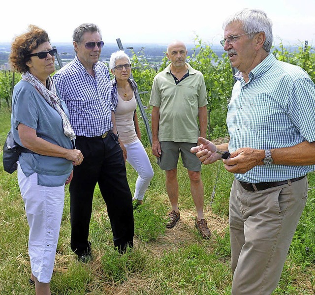 Seniorchef Hans Whrle fhrt Besucher durch die  Reben.   | Foto: Wolfgang Knstle