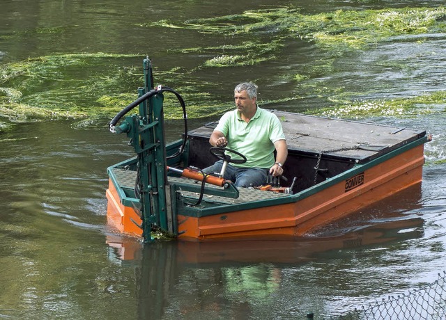 Thomas Danzeisen mht mit seinem Boot das Fischkraut in der Elz.   | Foto: Bernhard Rein
