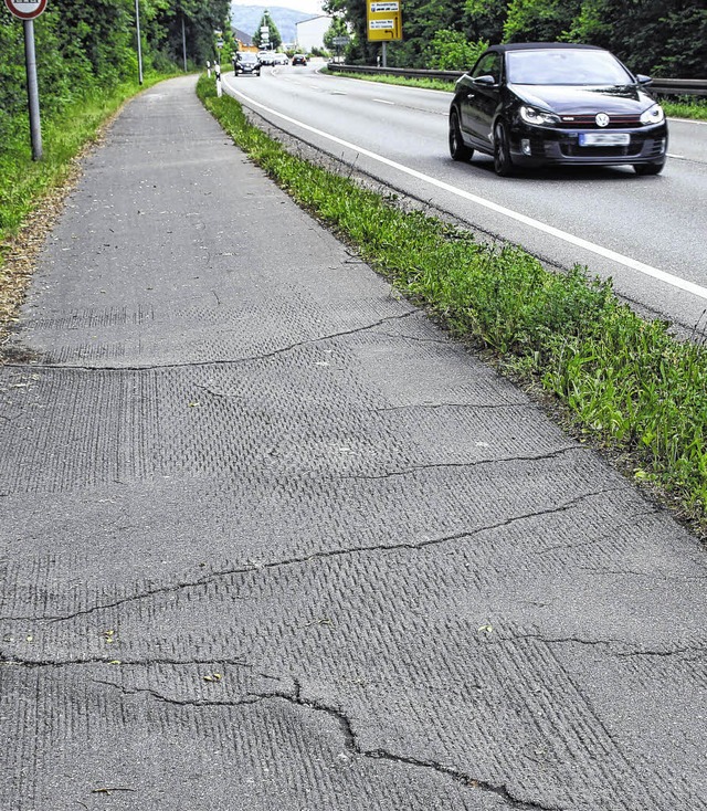 Wurzelschden zwischen Waldshut und Tiengen  | Foto: Manfred Dinort