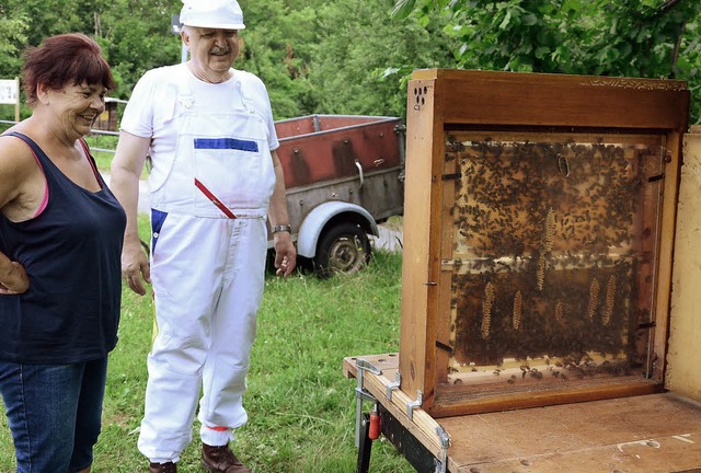 Dietmar Bogdal zeigt einen Beispielkas...ufbau eines Bienenstockes zu erkennen.  | Foto: Martina Proprenter