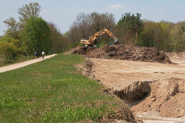 Auskiesung am Rhein geht bald weiter