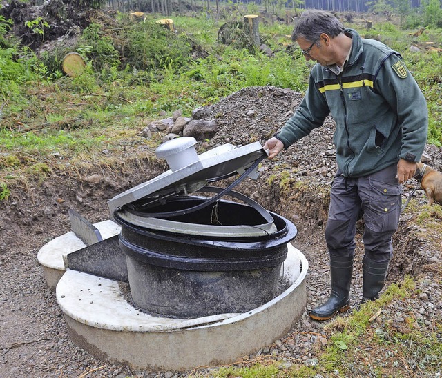 Seilbahn zur Aufarbeitung des Tornadoholzes im Wasserschutzgebiet  | Foto: Ralf Morys