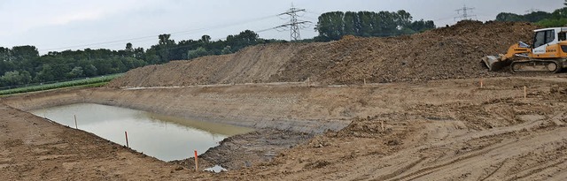 Bevor der Weinkellerbau an der L 137 i...ergeht, wird  das Wasser  abgepumpt.    | Foto: Langelott