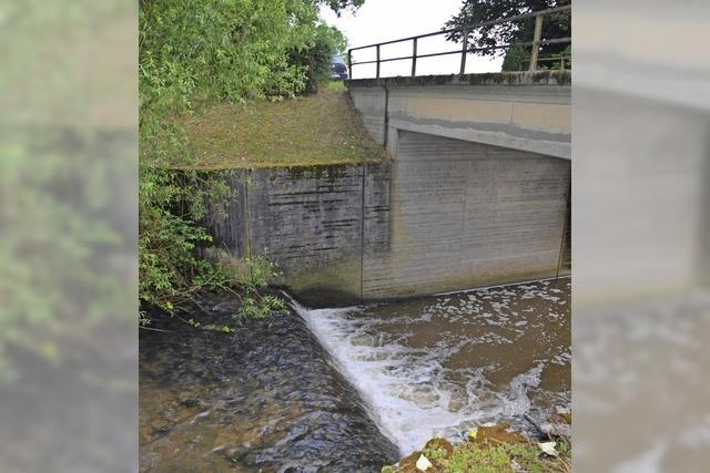 Lachs soll bis Eimeldingen kommen