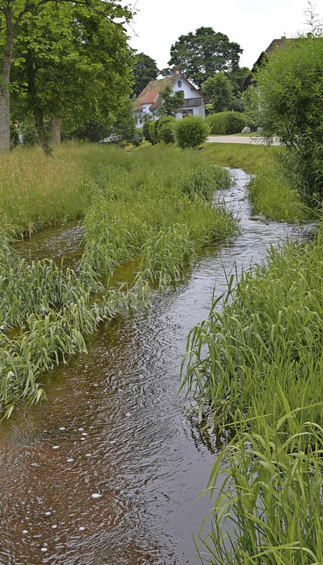 <Text>Um der Verlandung des Baches ent...Gras- und Sandinseln entfernt. </Text>  | Foto: Schilling