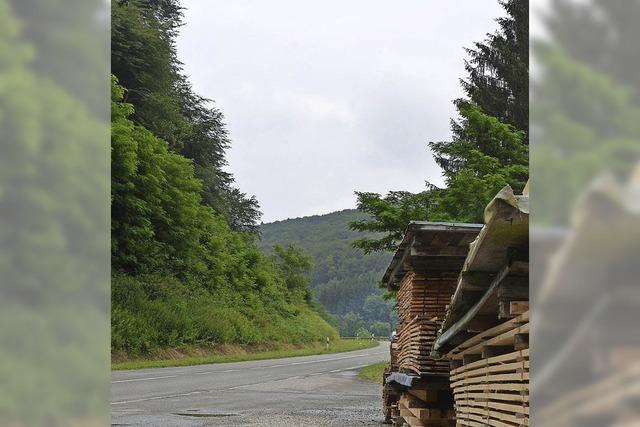 Jetzt geht es an den Flickenteppich Wald