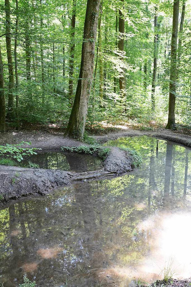 Die beiden Teiche unterhalb des Dngel...der Beschdigungen festzustellen sind   | Foto: Heinz Vollmar