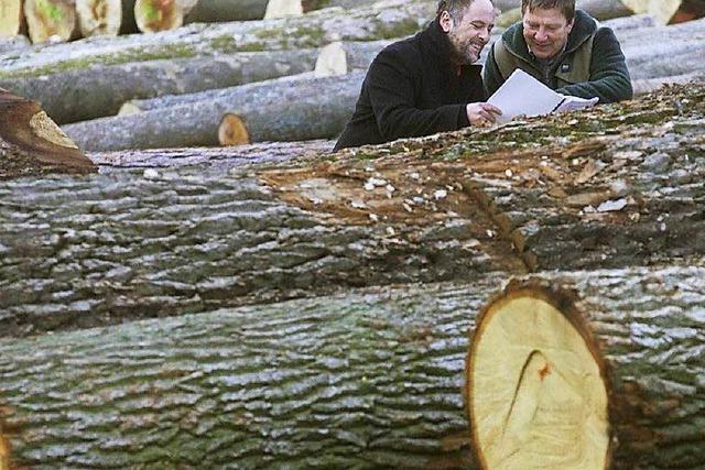 Waldvermarktung: Rechtsstreit scheint unausweichlich