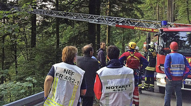 Rettung aus dem  Wipfel einer Tanne.   | Foto: Volker Mnch