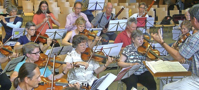 <Text>Das Oberrheinische Sinfonieorche...onzerte in Lrrach und Kandern</Text>   | Foto: Roswitha Frey