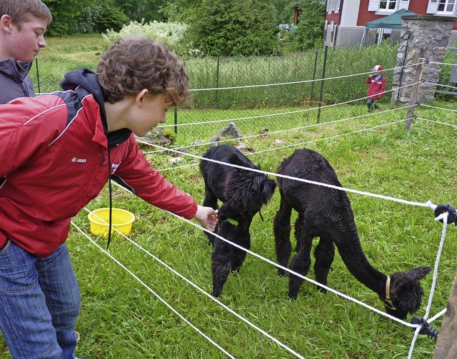 Wie beim ersten Naturparkmarkt 2013 si...eziehungsweise einer Koppel vertreten.  | Foto: Dirk Sattelberger