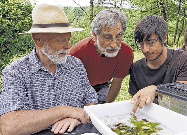 Beim Identifizieren diverser Wassertie... Friedrich Hahn und Christoph Bausch    | Foto: Manfred Dinort