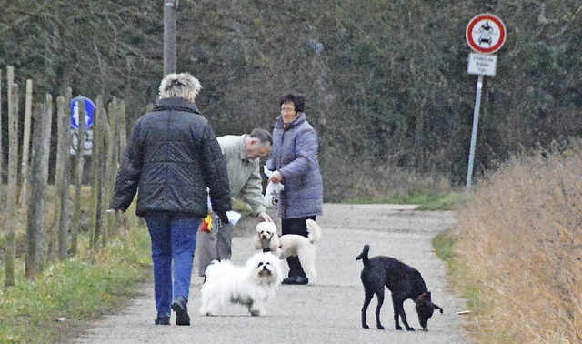 Am Hochgestade: Wo heute Hunde Gassi g...spter die Umgehungsstrae verlaufen.   | Foto: Lauber