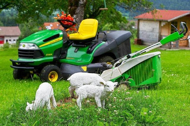 Prsentation im heimischen Garten