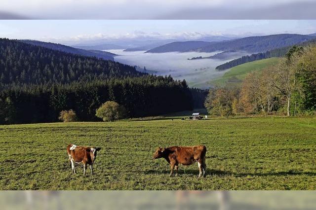 Wandern mit Panoramablick