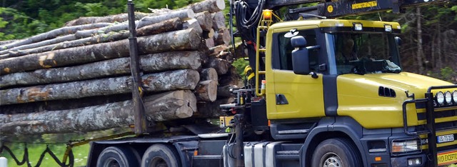 Holz fllt die Gemeindekasse:  Die Zuk...ohin die Reise beim Holzverkauf  geht.  | Foto: Paul Berger