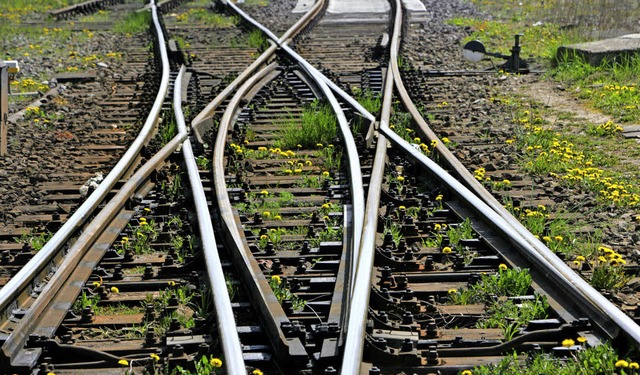 Der Projektbeirat will am Freitag wich... den Ausbau der Rheintalbahn stellen.   | Foto: dpa