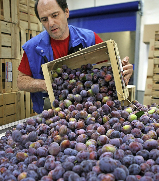Genossenschaftliche Arbeit im Obstgromarkt   | Foto: dpa