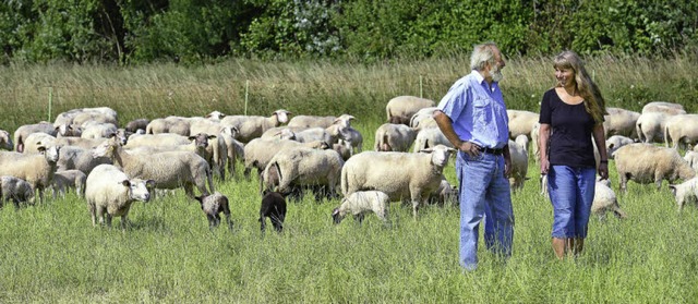 Wolfgang Gutekunst und Blanca Pistorius mit einer ihrer  Herden.    | Foto: Ingo Schneider